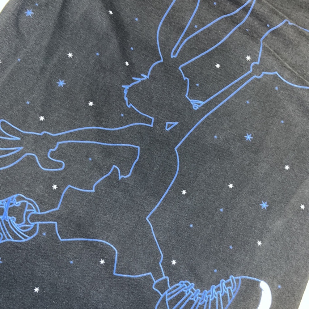 Vintage 90s Sneaktip Bugs Bunny Air Jordan Space Jam Retro Black Tshirt | Small